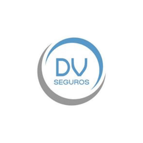 DVSeguros Logo